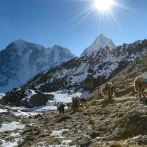 Explore Everest Base Camp & Kala Patthar Trek-14 Days for 14 days with Adventure Himalayan Travels and discover unforgettable experiences - Photo 4