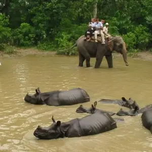 Explore Cultural Heritage and Nature Experiences Tour - 8 Days for 8 days with Adventure Himalayan Travels and discover unforgettable experiences - Photo 3