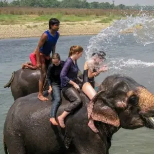 Explore Cultural Heritage and Nature Experiences Tour - 8 Days for 8 days with Adventure Himalayan Travels and discover unforgettable experiences - Photo 4