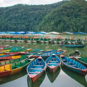 Explore Buddhist Darshan Tour - 10 Days for 10 days with Adventure Himalayan Travels and discover unforgettable experiences - Photo 7