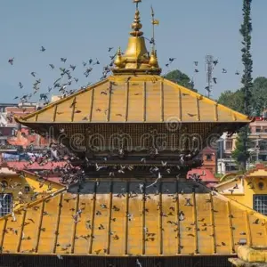 Explore Cultural Heritage and Nature Experiences Tour - 8 Days for 8 days with Adventure Himalayan Travels and discover unforgettable experiences - Photo 8