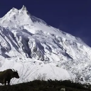 Explore Manaslu Circuit Trek for 15 days with Adventure Himalayan Travels and discover unforgettable experiences - Photo 10