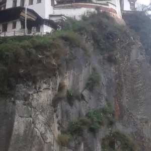 Explore Druk path trek with culture tour - 10 Days for 10 days with Adventure Himalayan Travels and discover unforgettable experiences - Photo 8
