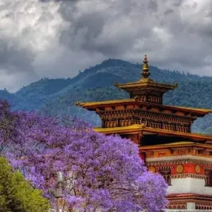 Explore Fly in Fly out in the land of Thunder Dragon 3 nights 4 days for 4 days with Adventure Himalayan Travels and discover unforgettable experiences - Photo 3