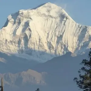 Explore MOHARE DANDA TREK 08 DAY for 8 days with Adventure Himalayan Travels and discover unforgettable experiences - Photo 3