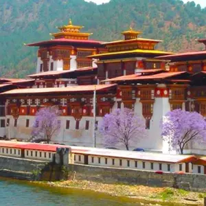 Explore Spirit of Bhutan - 8 Days for 8 days with Adventure Himalayan Travels and discover unforgettable experiences - Photo 11