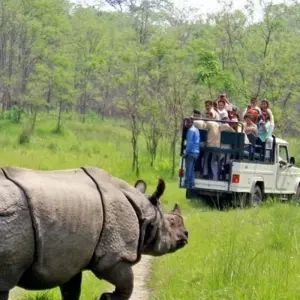 Explore Annapurna Base Camp Trek with Chitwan National Park - 14 Days for 14 days with Adventure Himalayan Travels and discover unforgettable experiences - Photo 4