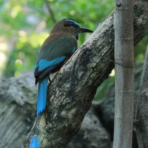 Explore Bird watching tour - 8 days for 8 days with Adventure Himalayan Travels and discover unforgettable experiences - Photo 4