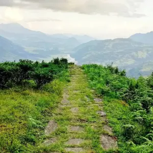 Explore MOHARE DANDA TREK 08 DAY for 8 days with Adventure Himalayan Travels and discover unforgettable experiences - Photo 7