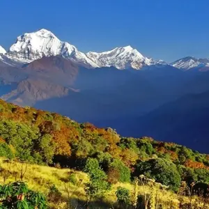 Explore Annapurna Base Camp Trek with Chitwan National Park - 14 Days for 14 days with Adventure Himalayan Travels and discover unforgettable experiences - Photo 6