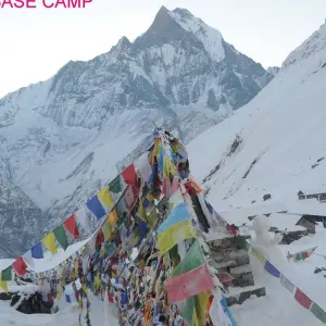 Explore Annapurna Base Camp Trek with Chitwan National Park - 14 Days for 14 days with Adventure Himalayan Travels and discover unforgettable experiences - Photo 7