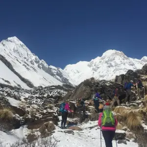 Explore Poon Hill Trek and Jungle Safari - 12 Days for 12 days with Adventure Himalayan Travels and discover unforgettable experiences - Photo 5
