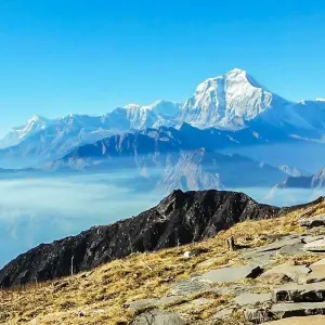 Explore Khopra Dada, Khayer Lake and Poon Hill Trek - 12 Days for 12 days with Adventure Himalayan Travels and discover unforgettable experiences - Photo 6