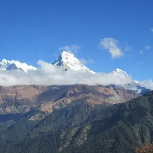 Explore Ghorepani Poon Hill Mardi Himal Trek - 11 Days for 11 days with Adventure Himalayan Travels and discover unforgettable experiences - Photo 6