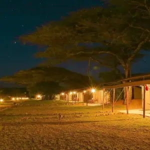 Explore 4 Days Rift Valley Wildlife Safari - Small Group for 4 days with Adventure Makers Tanzania and discover unforgettable experiences - Photo 3