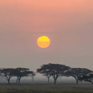 Explore 7 Days Low Season Special: April & May for 7 days with Adventure Makers Tanzania and discover unforgettable experiences - Photo 4