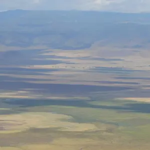 Explore Ngorongoro Crater Day Trip for 1 days with Adventure Makers Tanzania and discover unforgettable experiences - Photo 4