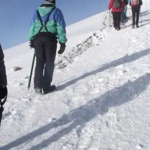 Explore Kilimanjaro 7 Days Machame Route for 7 days with Adventure Makers Tanzania and discover unforgettable experiences - Photo 5