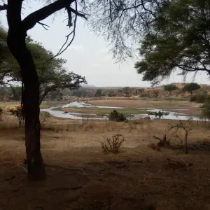 Explore 5 Days Fly In Selous - away from everything and everyone for 5 days with Adventure Makers Tanzania and discover unforgettable experiences - Photo 5