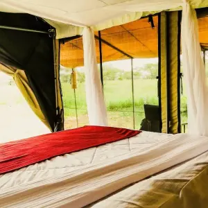 Explore 5 Days Tanzania Photographic Safari for 5 days with Adventure Makers Tanzania and discover unforgettable experiences - Photo 5