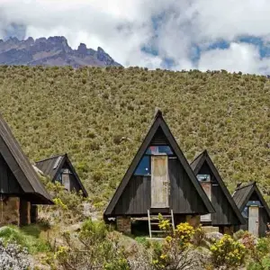 Explore Kilimanjaro Climbing Marangu Route 5 Days for 5 days with Adventure Makers Tanzania and discover unforgettable experiences - Photo 6