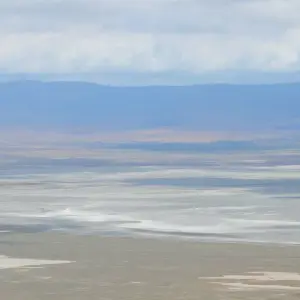 Explore Ngorongoro Crater Day Trip for 1 days with Adventure Makers Tanzania and discover unforgettable experiences - Photo 10