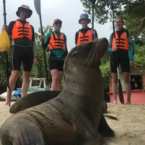 Explore The Best of Galapagos for 7 days with Adventure Journeys and discover unforgettable experiences - Photo 5