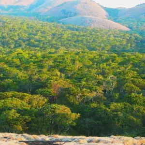 Explore Zambia Walking Safari for 15 days with Adventure Purists Ltd. and discover unforgettable experiences - Photo 3