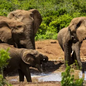 Explore Liuwa, Kafue, South Luangwa NP- Exploring Zambia's Wilderness for 15 days with Adventure Purists Ltd. and discover unforgettable experiences - Photo 4