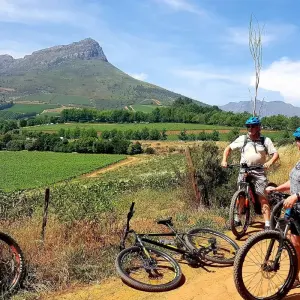 Explore 3 Stellenbosch to Hermanus Cycle Tour for 3 days with Adventure Shop and discover unforgettable experiences - Photo 5