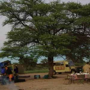 Explore The Wild West of Zambia for 8 days with Adventure Purists Ltd. and discover unforgettable experiences - Photo 4