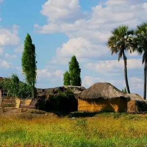 Explore The Wild West of Zambia for 8 days with Adventure Purists Ltd. and discover unforgettable experiences - Photo 5