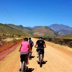 Explore 3 Stellenbosch to Hermanus Cycle Tour for 3 days with Adventure Shop and discover unforgettable experiences - Photo 8