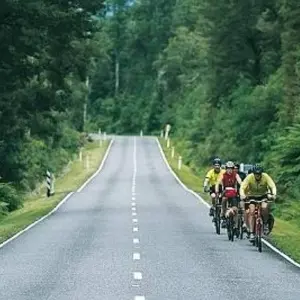 Explore Great West Coast Cycle for 8 days with Adventure South and discover unforgettable experiences - Photo 3