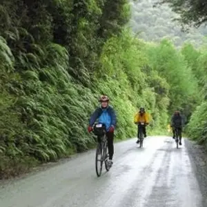 Explore Milford and Fiordland Hike Bike and Kayak for 5 days with Adventure South and discover unforgettable experiences - Photo 7