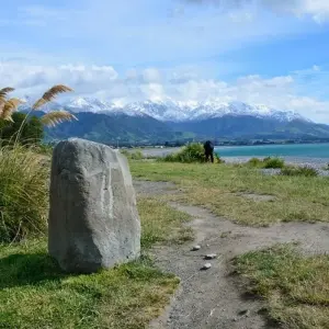 Explore Marlborough and West Coast Cycle for 7 days with Adventure South and discover unforgettable experiences - Photo 3