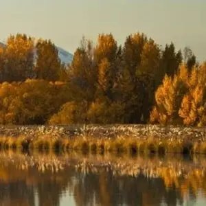 Explore Alps to Ocean Classic for 6 days with Adventure South and discover unforgettable experiences - Photo 4