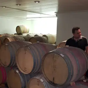 Explore 3 Stellenbosch to Hermanus Cycle Tour for 3 days with Adventure Shop and discover unforgettable experiences - Photo 10