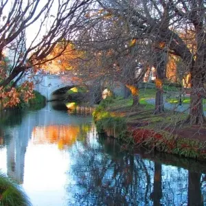 Explore Alps to Ocean Classic for 6 days with Adventure South and discover unforgettable experiences - Photo 5