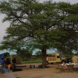 Explore Liuwa, Kafue, South Luangwa NP- Exploring Zambia's Wilderness for 15 days with Adventure Purists Ltd. and discover unforgettable experiences - Photo 11