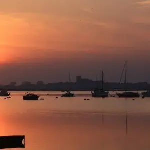 Explore Marlborough and West Coast Cycle for 7 days with Adventure South and discover unforgettable experiences - Photo 5