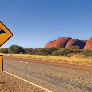 Explore 3 Night Uluru Adventure (Alice Springs to Yulara) for 4 days with Adventure Tours Australia and discover unforgettable experiences - Photo 4