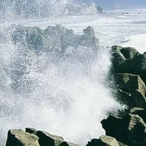 Explore West Coast Wilderness Cycle Trail for 5 days with Adventure South and discover unforgettable experiences - Photo 5