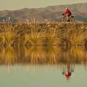 Explore Alps to Ocean Classic for 6 days with Adventure South and discover unforgettable experiences - Photo 6