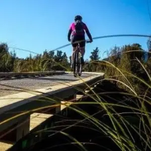Explore West Coast Wilderness Cycle Trail for 5 days with Adventure South and discover unforgettable experiences - Photo 6