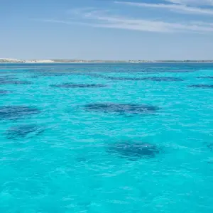 Explore Broome to Perth Adventure for 10 days with Adventure Tours Australia and discover unforgettable experiences - Photo 2