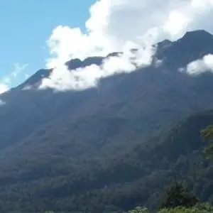 Explore Great West Coast Cycle for 8 days with Adventure South and discover unforgettable experiences - Photo 8