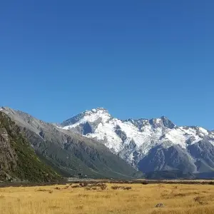 Explore Alps to Ocean Classic for 6 days with Adventure South and discover unforgettable experiences - Photo 9