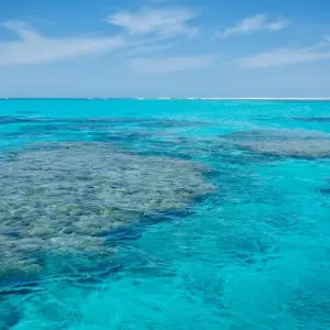 Explore Perth to Exmouth, Karijini & Return for 10 days with Adventure Tours Australia and discover unforgettable experiences - Photo 3