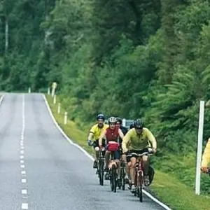 Explore Marlborough and West Coast Cycle for 7 days with Adventure South and discover unforgettable experiences - Photo 9